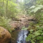 Little Badger Campground