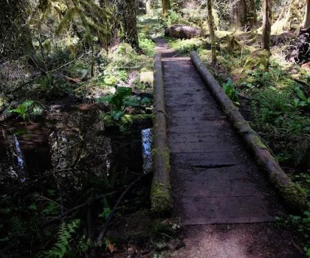 Alder Flat Trailhead