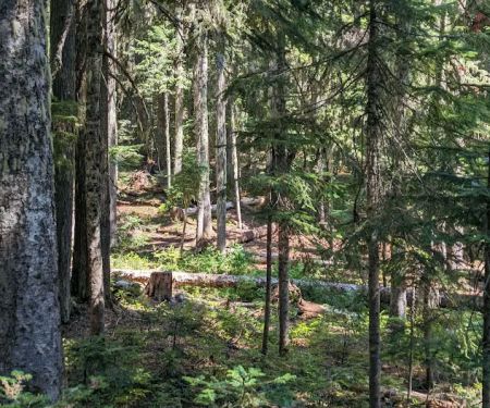 Hideaway Lake Campground