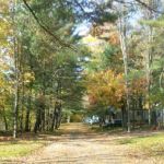 Hidden Forest Homes