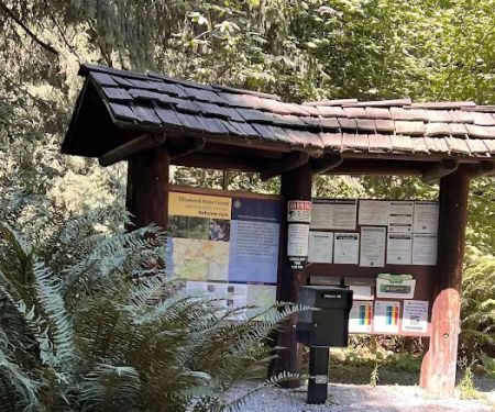 Nehalem Falls Campground