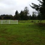 Twins Ranch LLC