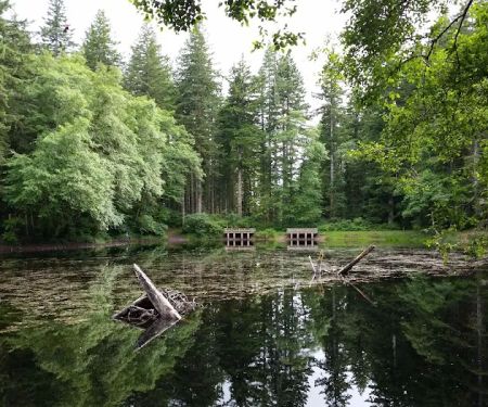 Hebo Lake Campground