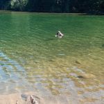 Hoodview Campground