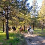 Chelan Mountain View Ranch