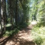 Oak Fork Campground