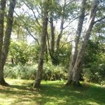 Campground D
