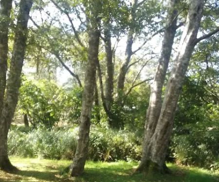 Campground D