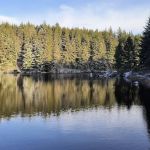 Snag Lake Campground