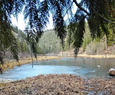 Trout Lake Campground