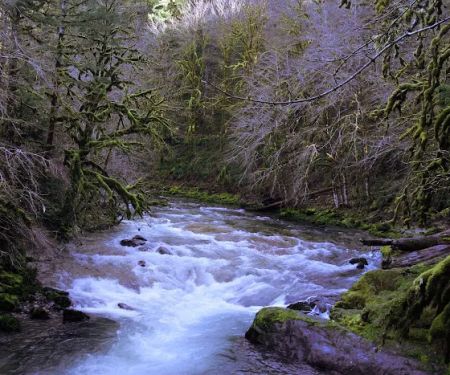 fernview group campground