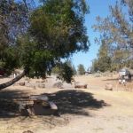 Indian Park
