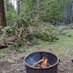 Monty Campground