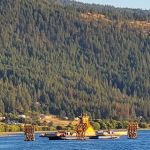 GIFFORD GROUP SITE