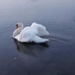 Glen Lake Estates