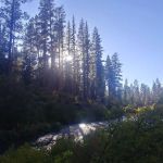 Lower Canyon Creek Campground