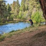 Pine Rest Campground