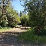 Dragoon Creek