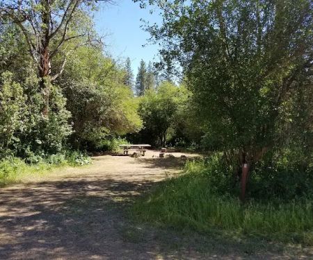 Dragoon Creek