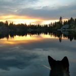 Sun Cove Resort