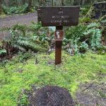 Alsea Falls Campground