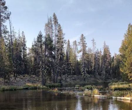 Coldwater Cove Campground