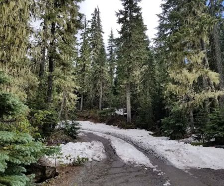Lower Lake Campground
