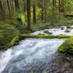 Olallie Campground
