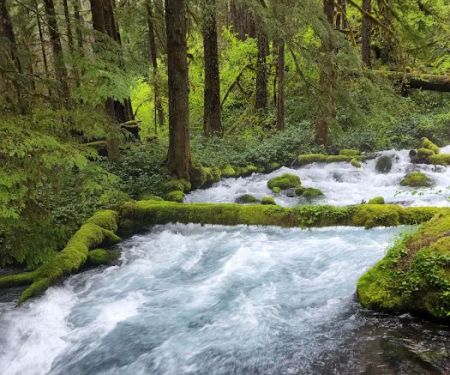 Olallie Campground