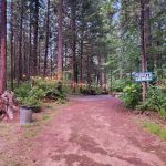 Mckenzie River Forest Retreat Outdoor Stays
