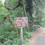 Paradise Campground