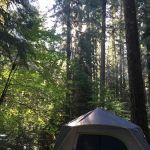 Limberlost Campground