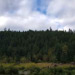 Sunnyside Campground