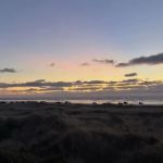 Winters by the Sea