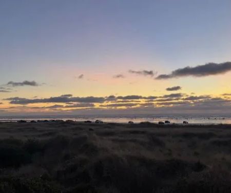 Winters by the Sea
