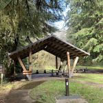 Cape Perpetua Campground