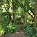 Sutton Campground