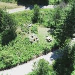 Careywood Hollow