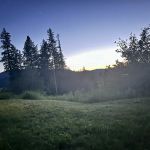 Camp Swan Lake