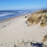 South Jetty Sand Camping Access