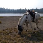 Quinn Meadow Horse Camp