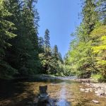 Blue Pool Campground
