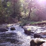 Puma Campground