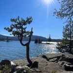Waldo Lake Shadow Bay Willamette NF