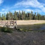 SHEEP BRIDGE