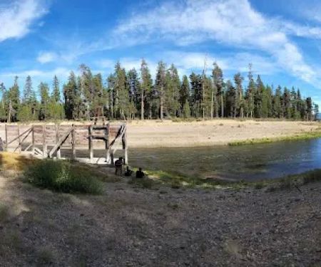 SHEEP BRIDGE