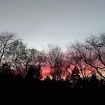 Shade Tree Country RV Park