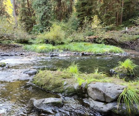 Big Pool Campground