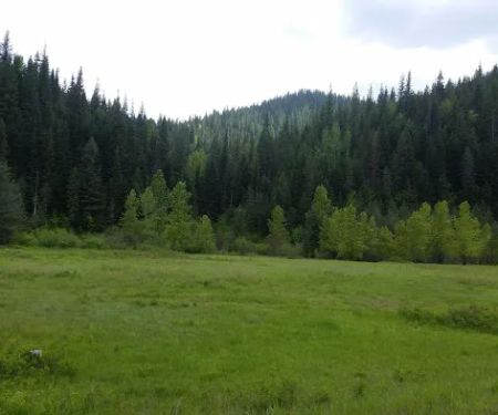 Independence Campground
