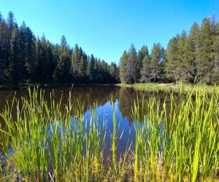 Moose Creek Campground